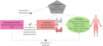 Causal association between thyroid dysfunction and sepsis: a two-sample mendelian randomization study
